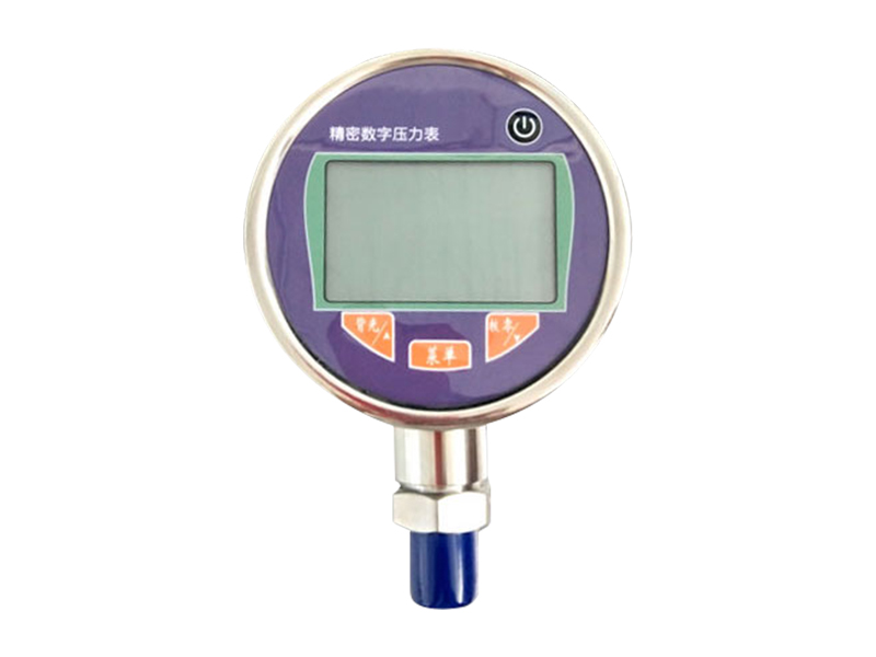 ZT-SY08-数字压力表.jpg